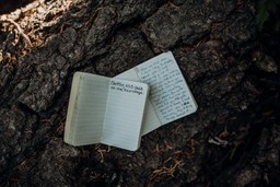 writing vows