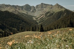 silverton colorado elopement