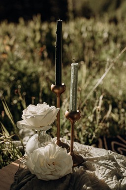 elopement picnic