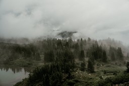 Buena vista