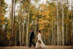 Last Dollar Road Elopement
