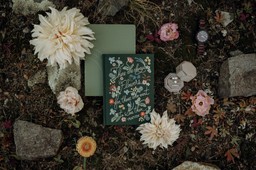 elopement details