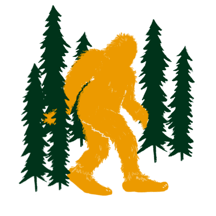 colorado elopement squatch