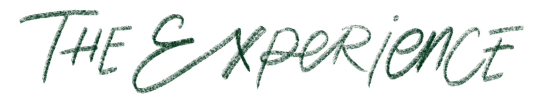 the experience
