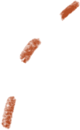 orange path